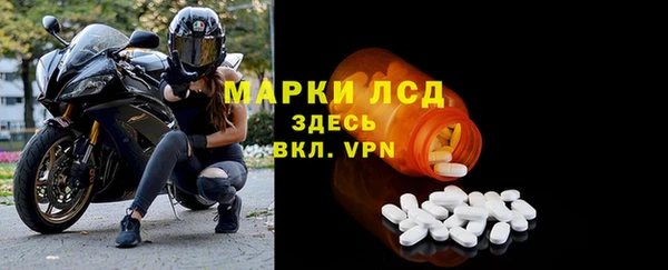 молекула духа Вяземский