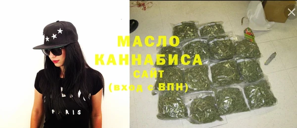 молекула духа Вяземский