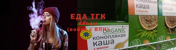 молекула духа Вяземский