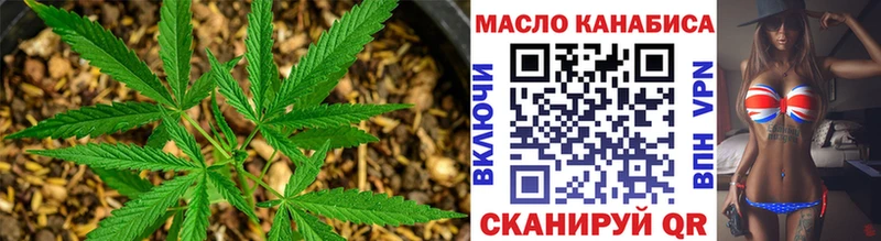 Дистиллят ТГК гашишное масло  закладки  Каменка 