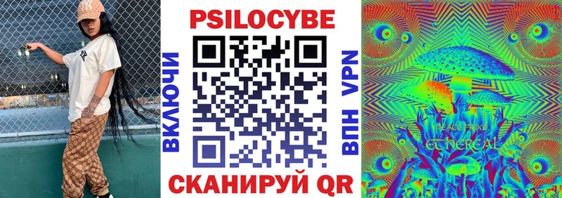 Псилоцибиновые грибы Psilocybe  Каменка 